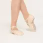 Demi-pointe Evo - Zalmroze