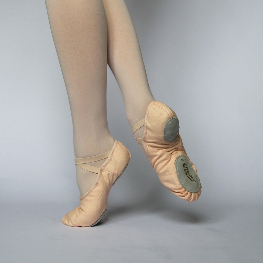 Demi-pointe Everest - Zalm
